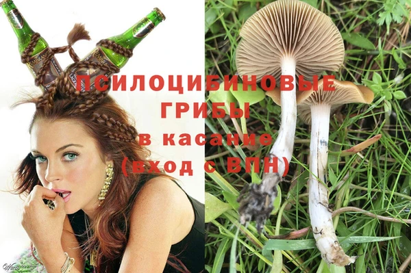 гидра Балабаново