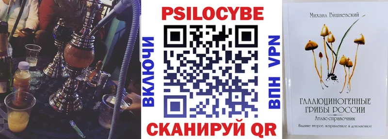 Псилоцибиновые грибы Magic Shrooms  продажа наркотиков  omg ONION  нарко площадка какой сайт  Салаир 